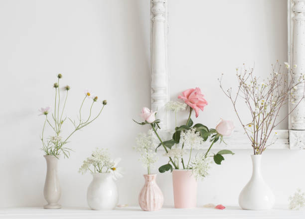 istock flowers in a vase on white background 646048284
