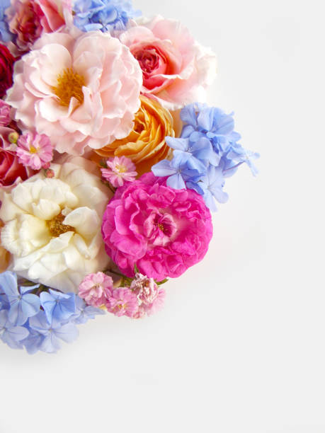 istock Beautiful rose flower bouquet 646050742