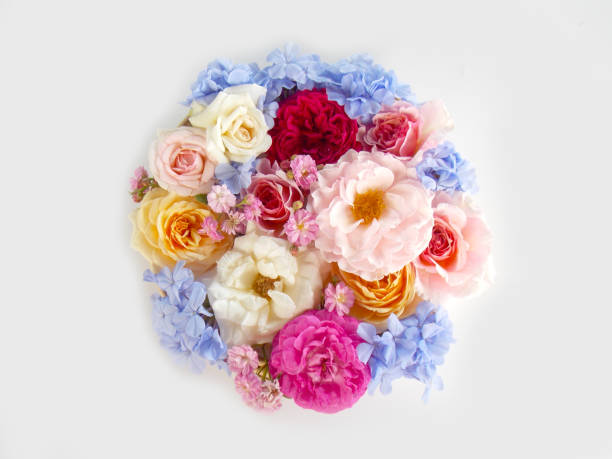 istock Beautiful rose flower bouquet 646050750