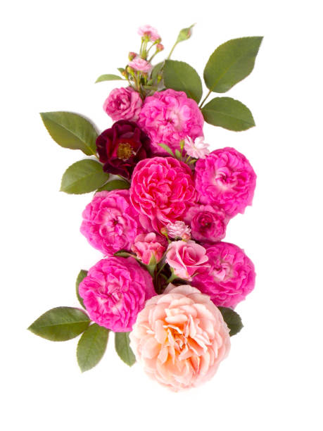 istock Beautiful rose flower bouquet 646050864