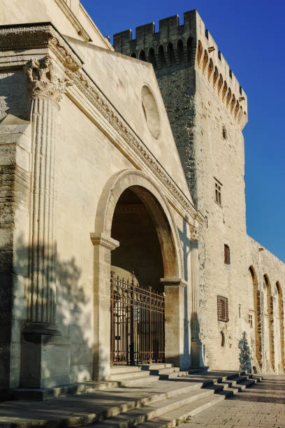 istock Palais des Papes in Avignon 646051334