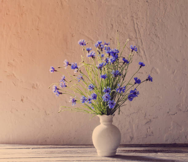 istock Beautiful blue cornflowers in vase 646051606