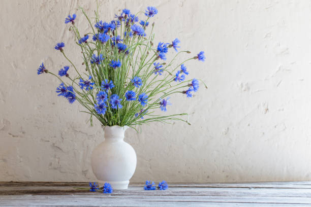 istock Beautiful blue cornflowers in vase 646051612