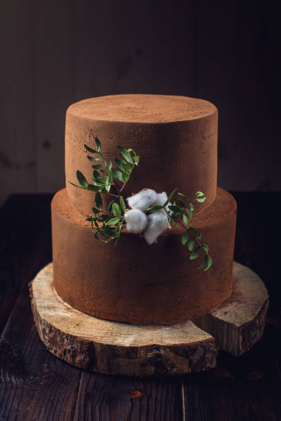 istock Truffle chocolate tiered cake dusted with cocoa on wooden stand 646051832