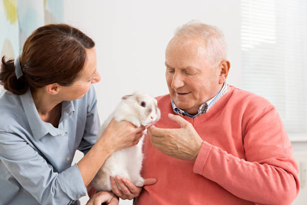 istock Home caregiver with senior man and a little rabbit 646058134