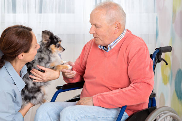 istock Pet Therapy – Senior man with little dog 646058160