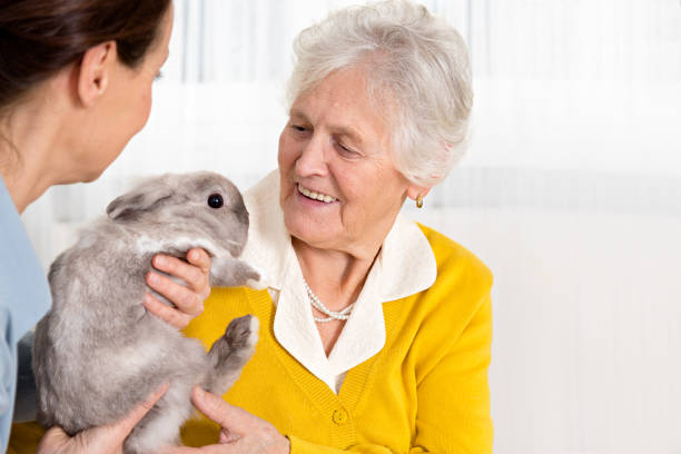 istock Pet Therapy – Senior woman with rabbit 646058566