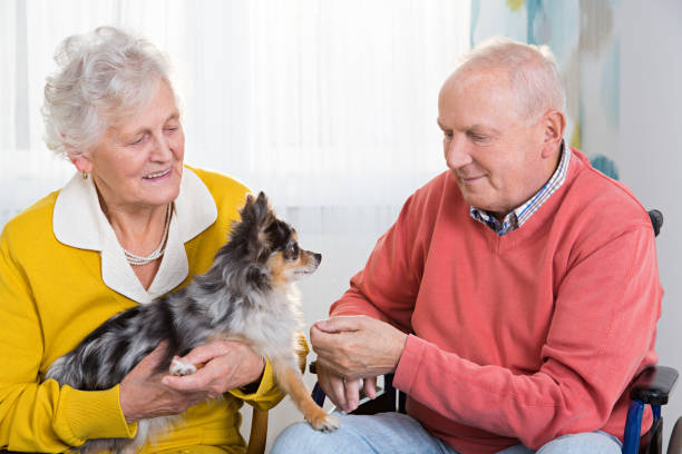 istock Senior couple with little dog 646058982