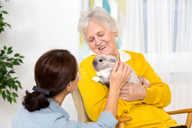 Pet Therapy – Senior woman with rabbit