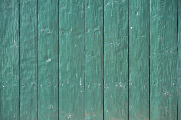 istock green wooden shelf wall 646072034