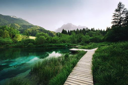 Wooden pier and nature of Slovenia, Europe. Nature landscape. Green forest and lake with mountains on the background.