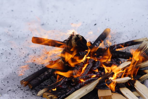 bonfire on the white snow in winter, fire and wood background