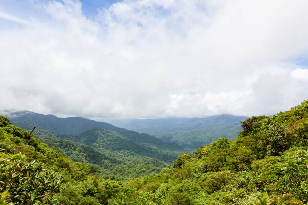 istock Rainforest landscape in Monteverde Costa Rica 646091558