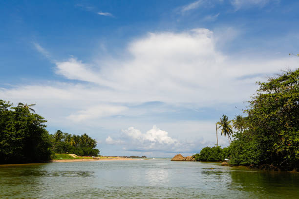 istock Landscape of a beautiful beach 646092196
