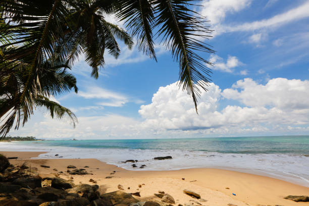 istock Landscape of a beautiful beach 646096756
