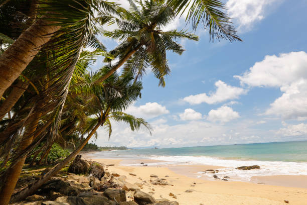 istock Landscape of a beautiful beach 646101544