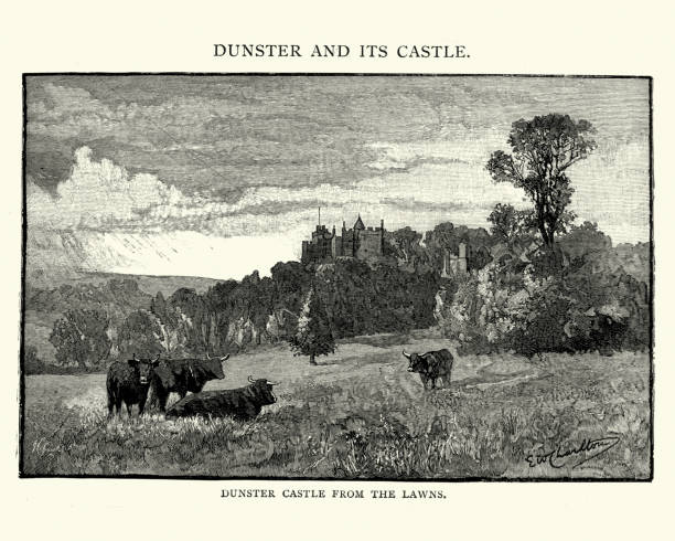 данстер и его замок, 1892 - dunster house stock illustrations