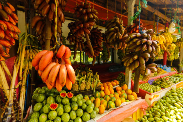 istock Table with tropical fruits 646109856
