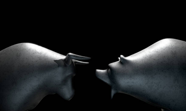 istock Stylized bull opposing a bear in dramatic light representing  financial market trends 646109938