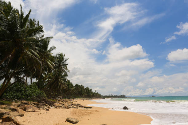 istock Landscape of a beautiful beach 646110120