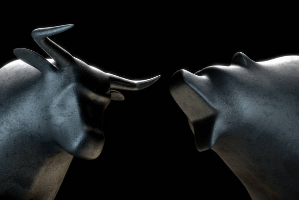 istock Stylized bull opposing a bear in dramatic light representing  financial market trends 646113928