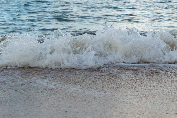 istock Soft wave crashing in the sand beach 646116610