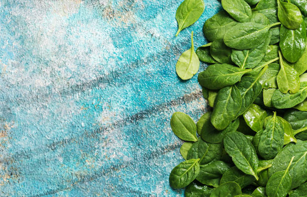 bunch of fresh spinach leaves
