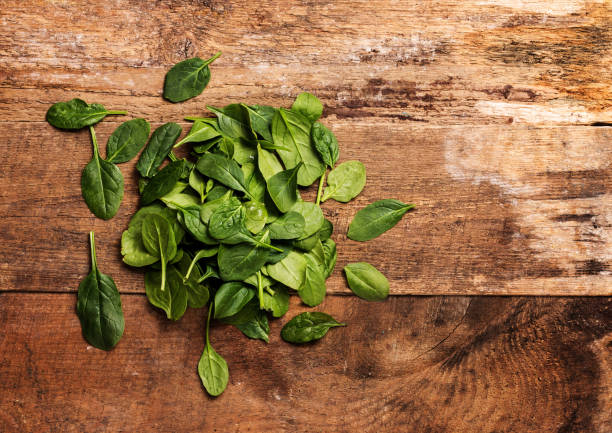 bunch of fresh spinach leaves