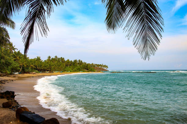 istock Idyllic beach in Mirissa, Sri Lanka 646121656