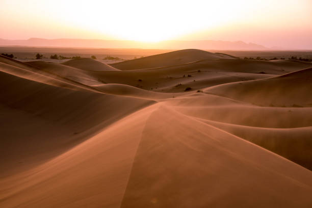 istock Erg Chebbi, Merzouga, Morocco 646123880