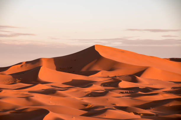istock Caravan in Merzouga, Erg Chebbi, Morocco 646123896