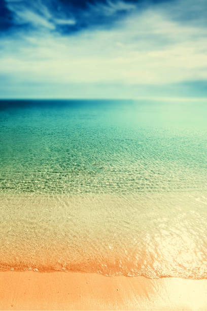 istock Vintage Beach background / Retro Untouched tropical beach 646124364