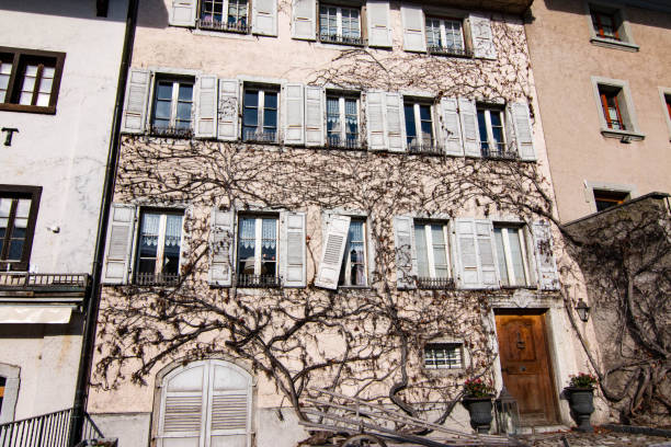 istock Gruyeres, Switzerland 646127312