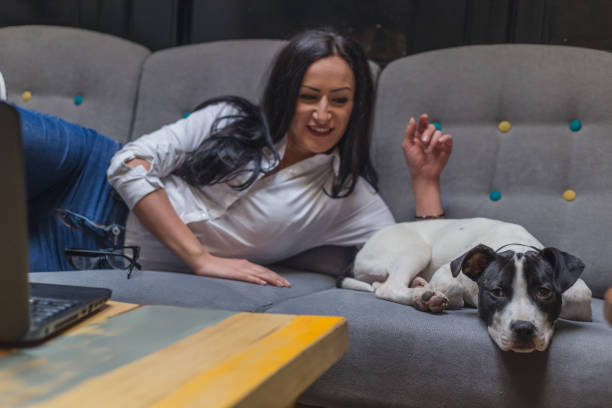 istock Girl lying on bed with puppy 646128676