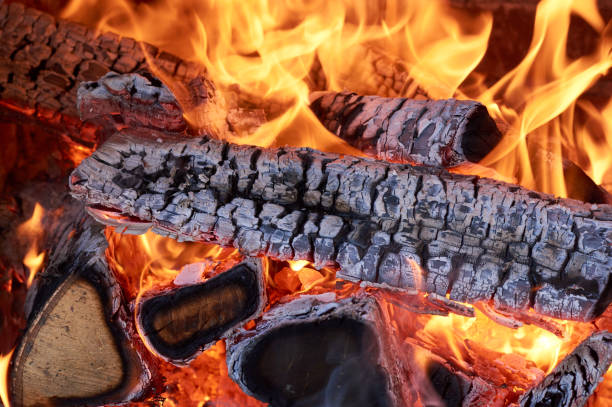 istock woods and coals in the fire 646133152
