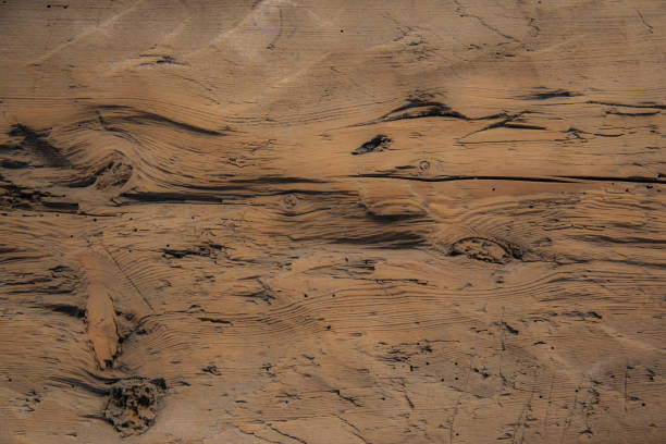 istock Background. Rustic wooden planks with visible grain 646142900