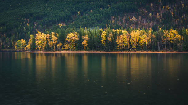 istock Autumn colors reflected in a lake. 646150518