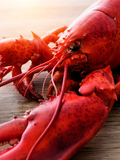 istock Lobster on wood, close up 646151392