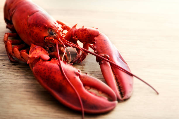 istock Lobster on wood, close up 646151452