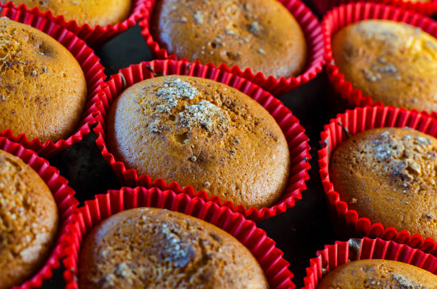 istock homemade muffins with cinnamon 646172830
