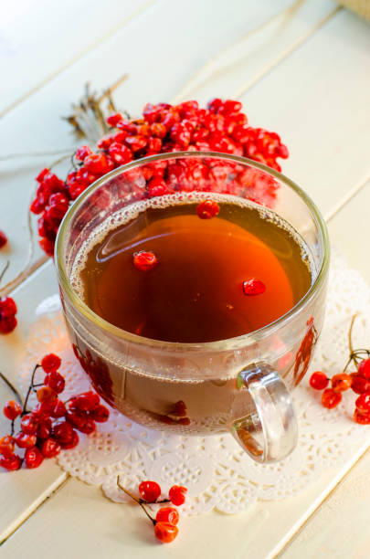 istock with tea viburnum 646175858