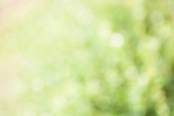 istock vivid bokeh in soft color style for background light. 646178886