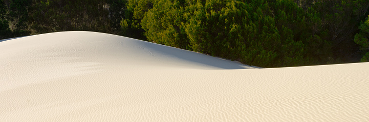 Groups of tourists were playing and sliding sand boards on sand dunes at Port Stephens