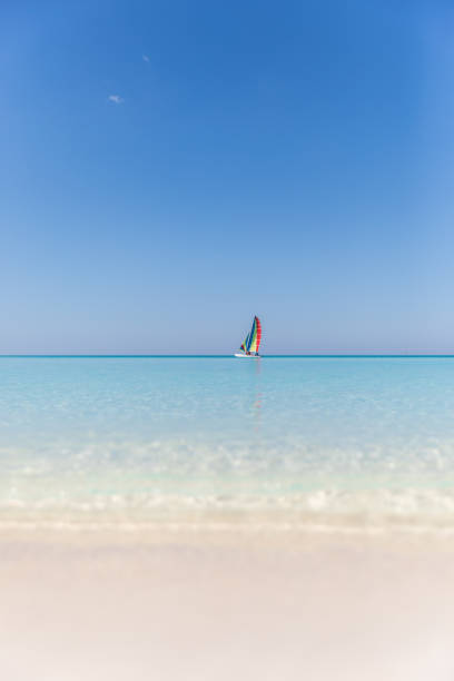 istock Idyllic Tropical Sand Beach, Cayo Coco, Cuba 646201366
