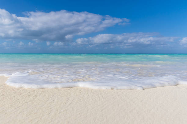 istock Idyllic Tropical Sand Beach, Cayo Coco, Cuba 646203542