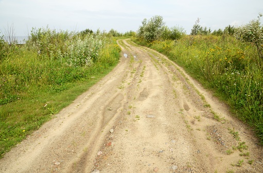 Sandy road in the wild field among the natural vegetation.