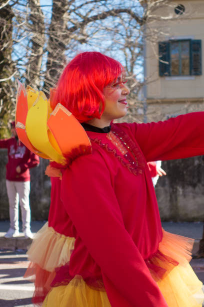 パレード カーニバルのパーティーの名前実際に kraski pust またはカルネヴァーレ carsico - mardi gras tourism human face travel ストックフォトと画像