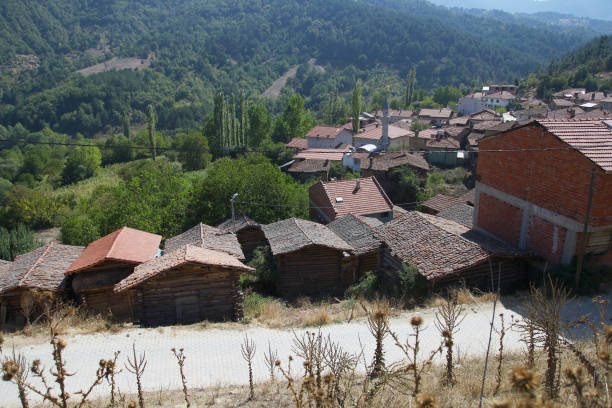 istock Turkish traditional village homes 646206750