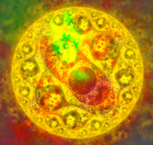 istock Hot fractal sun 646207036
