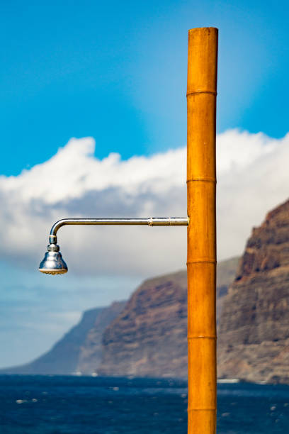 Shower head with ocean and mountain in the background